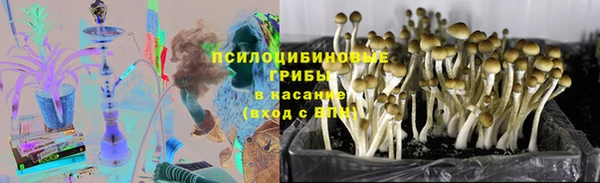 mdpv Лабытнанги