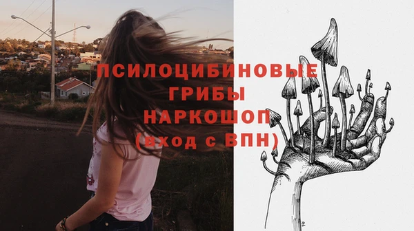 экстази Лагань
