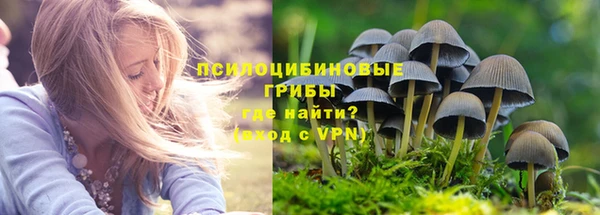 тгк Бородино