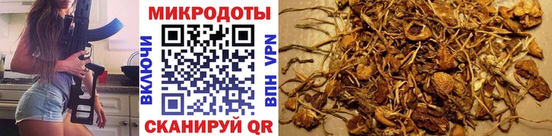 Галлюциногенные грибы GOLDEN TEACHER  Павловская 